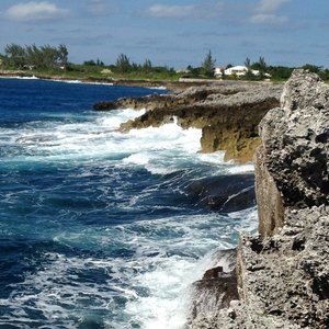 Meet your Posher, Freda